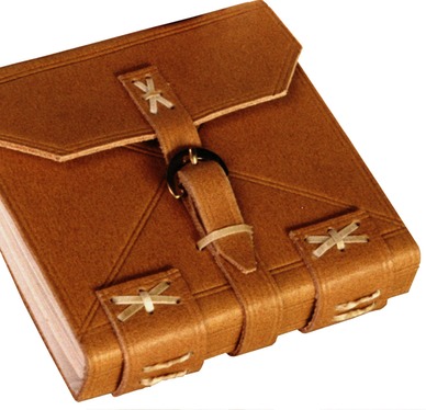 Shakespeare-Man-of-Property-cover-detail