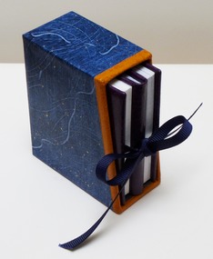 Storm Shakes in scase